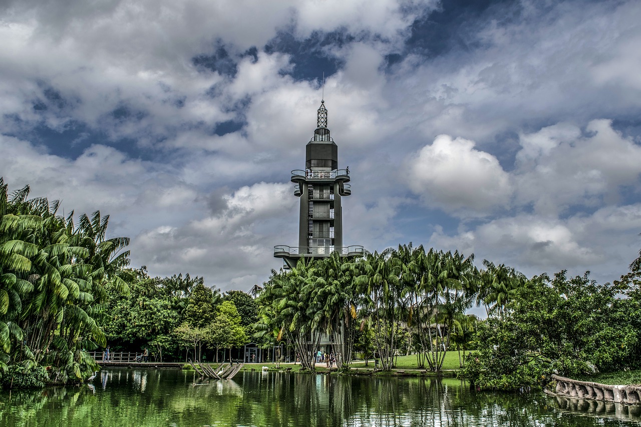 Fexofenadina para que sirve: 5 beneficios que debes conocer 1 fexofenadina para que sirve