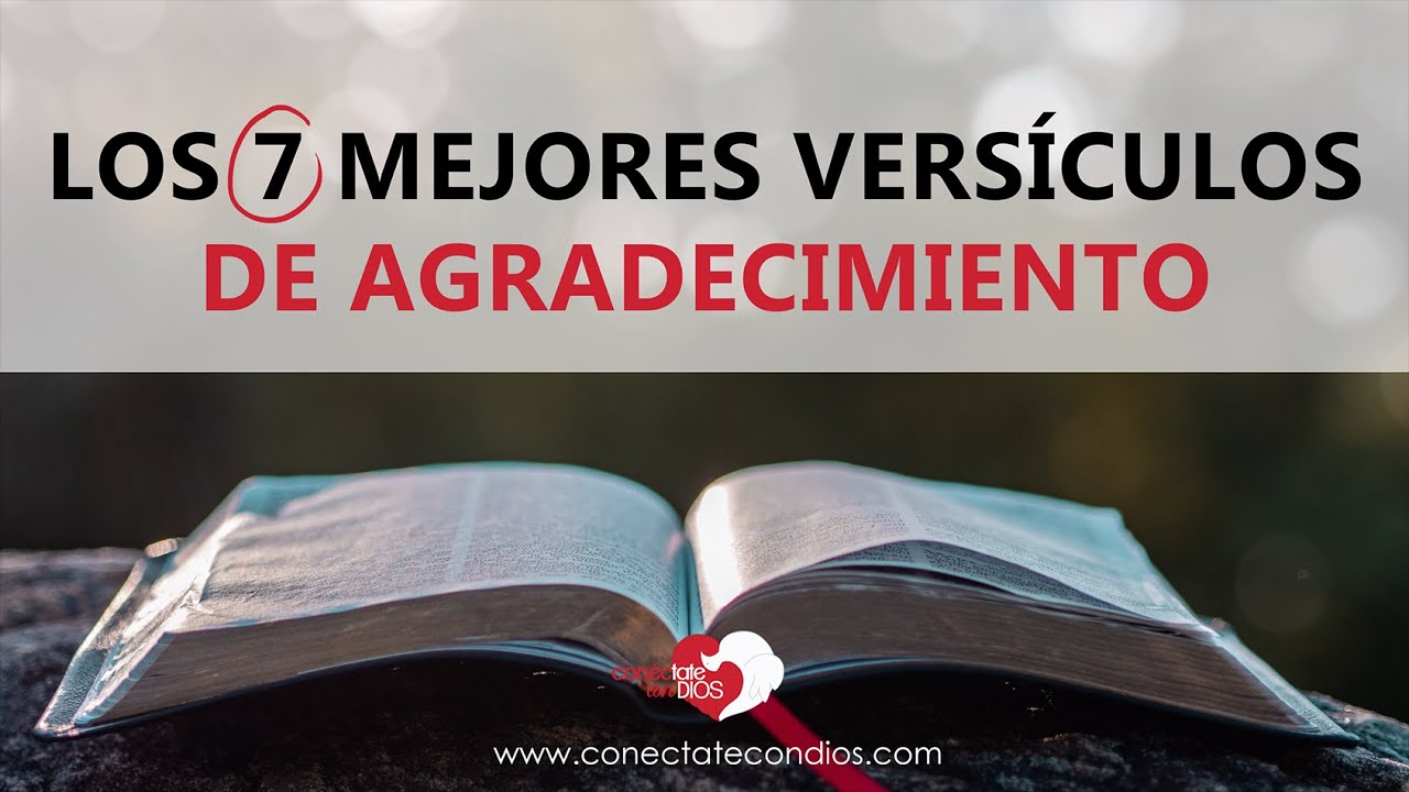 Textos bíblicos de agradecimiento: 7 versículos que inspiran 5 textos biblicos de agradecimiento
