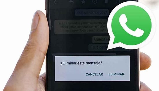How to recover deleted messages from WhatsApp. Step by Step!