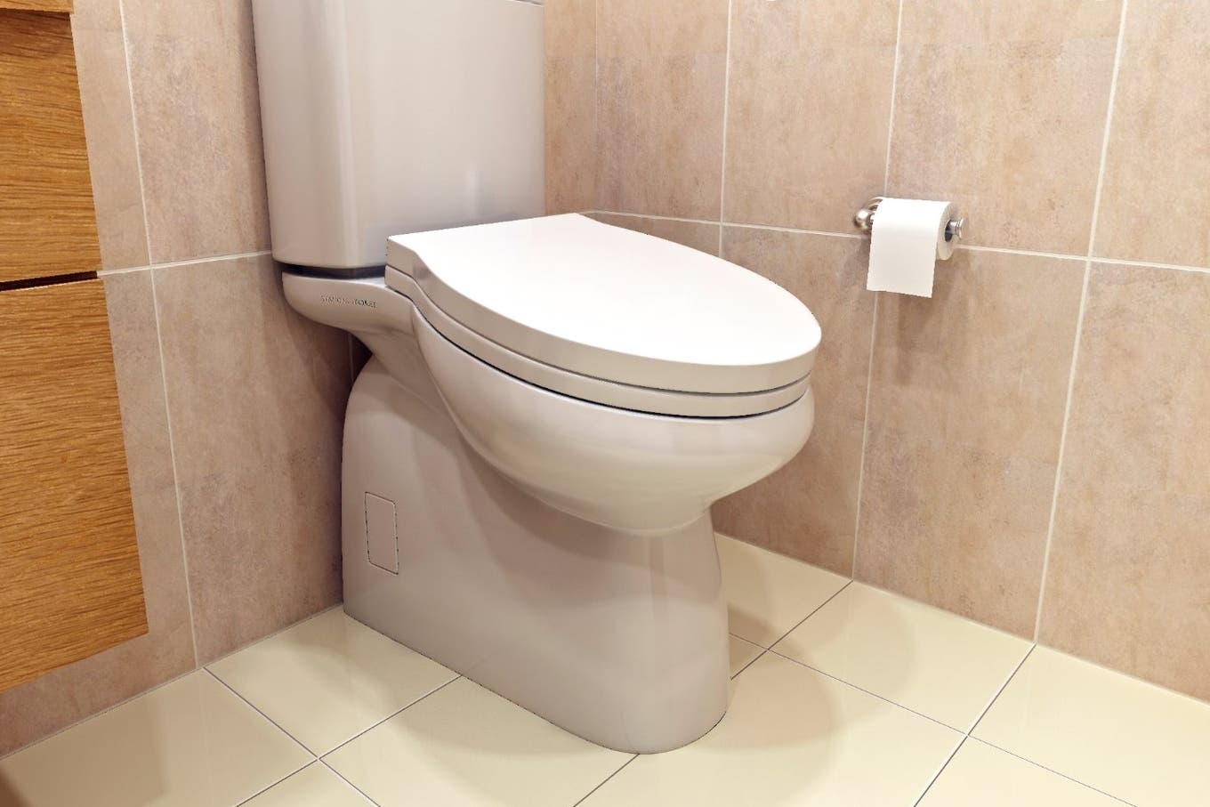 They propose to install inclined toilets in the offices so that people do not spend more than 5 minutes in the bathroom