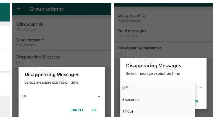 WhatsApp, WhatsApp Missing Messages, WhatsApp New Feature, WhatsApp Update, WhatsApp Android, WhatsApp iOS