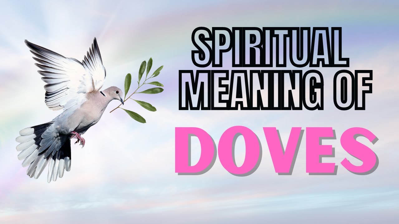 🕊️ 7 surprising facts about social media trends 2025 4 dove symbol