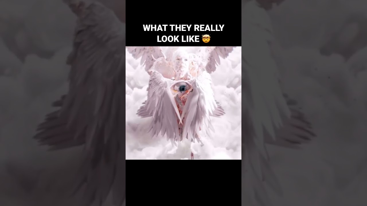 how angels really look