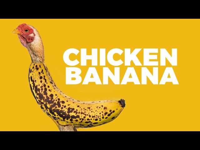 Bannana: 7 Delicious Recipes to Try in 2025 1 bannana