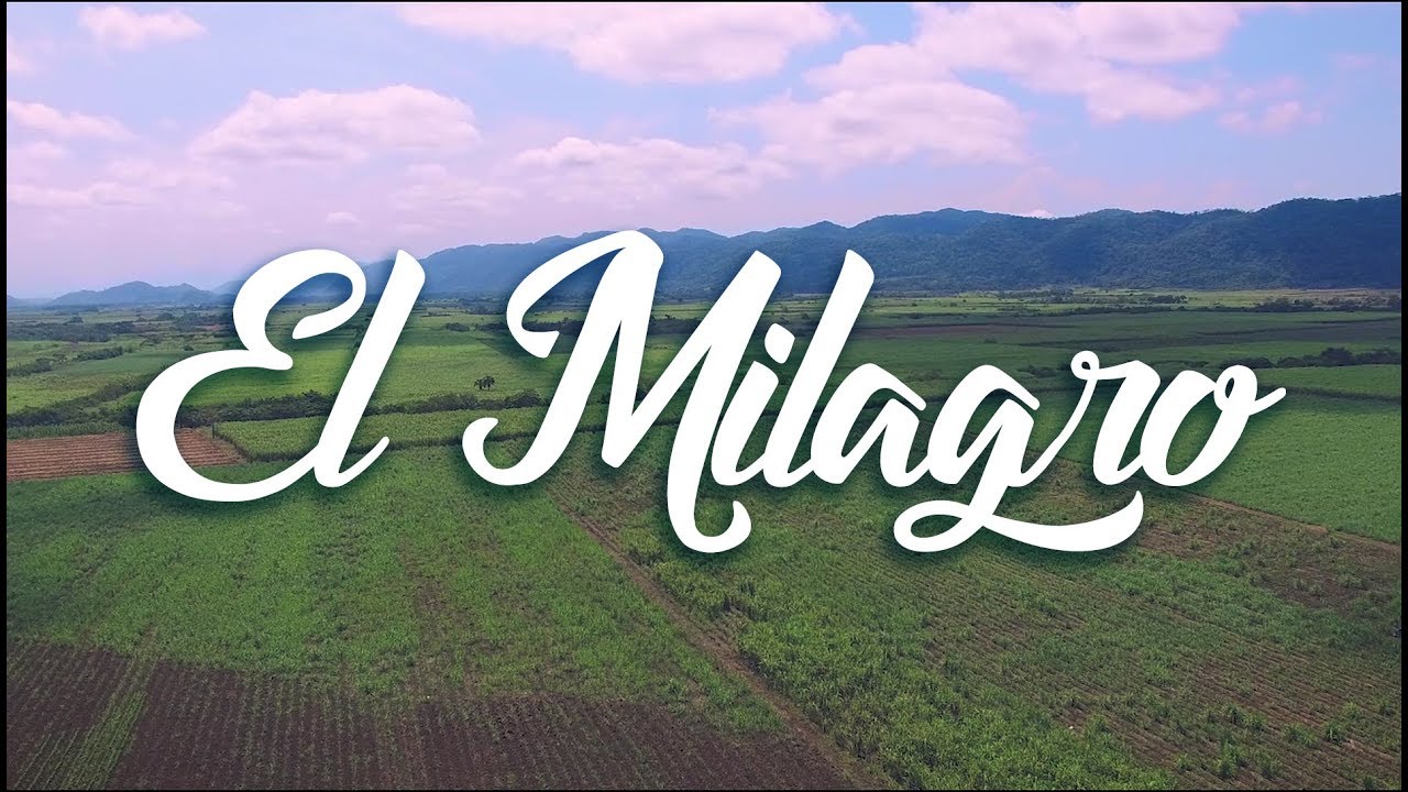 El milagro: 7 secrets to transform your life today 3 el milagro