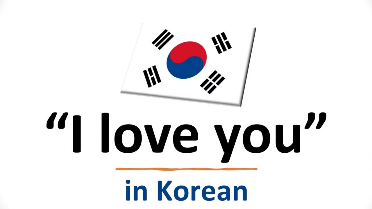 how do you say i love you in korean