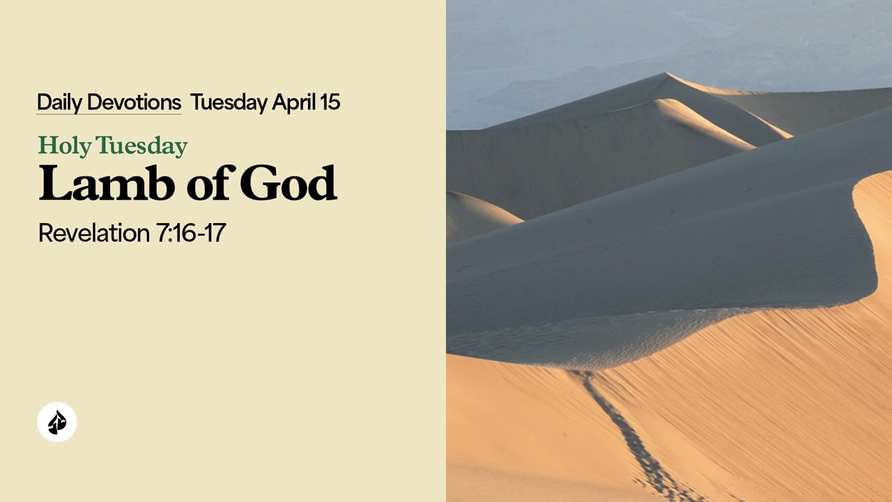 in touch daily devotion